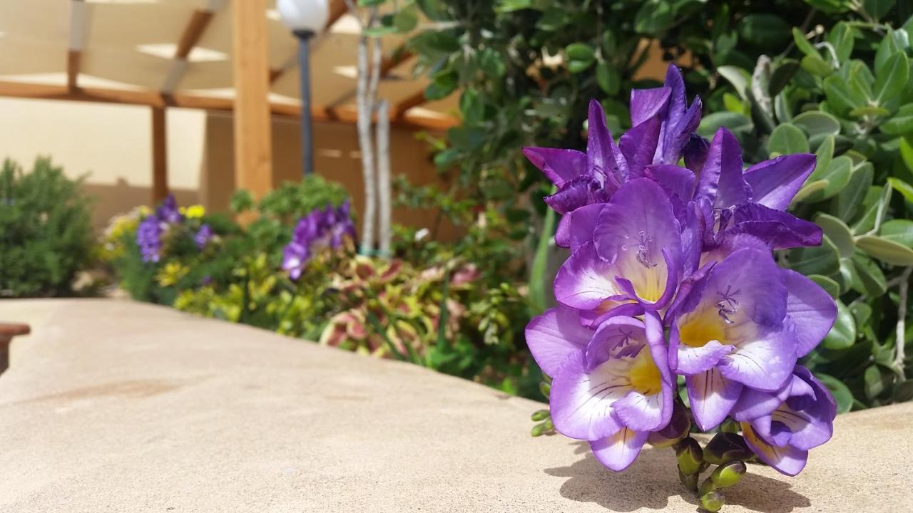 Baglio Cudia Resort Марсала Экстерьер фото